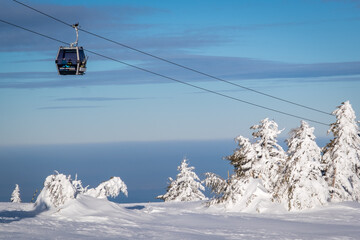 Fototapeta premium A frosty and sunny day is in mountains. Kopaonik National Park, winter landscape in the mountains with cable car, coniferous forest covered with snow. Spruce after snowfall