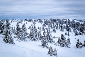Fototapeta na wymiar Panorama of the ski resort Kopaonik in Serbia. Kopaonik National Park, winter landscape in the mountains, coniferous forest covered with snow
