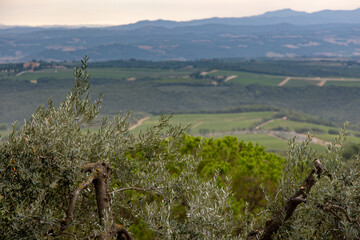 view over Tuscany hills Montalcino