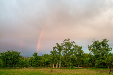 sky with clouds and rainbow with trees and grass in the foreground