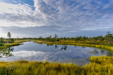 raised bog and marsh landscape under an expressive sky - obrazy, fototapety, plakaty
