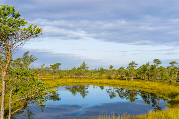 raised bog and marsh landscape under an expressive sky