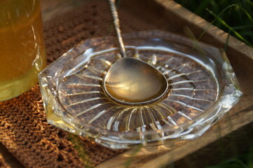 honey bee on a honeycomb