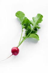 freshly radish harvest isolated on white. Healthy organic food, vegetables, agriculture. Abstract doos background isolated