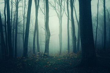 dark woods landscape, scary forest at night