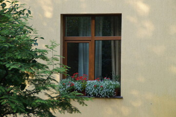 Fototapeta na wymiar window in the wall