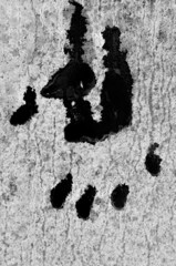 Footprint