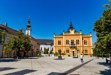 Naklejka premium Neo-classical architecture of Vladicin Court Palace of Bishop in Novi Sad, Serbia