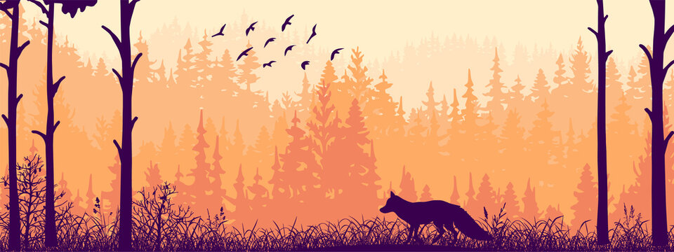 Horizontal banner. Silhouette of fox standing on meadow in forrest. Silhouette of animal, trees, grass. Magical misty landscape, fog. Pink and orange illustration. Bookmark.