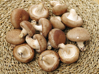 Shiitake mushrooms on the wooden background.