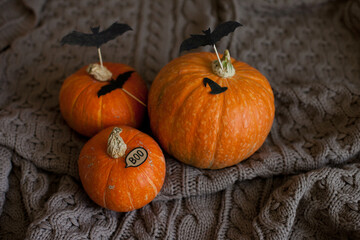 Halooween decor with orange pumpkins on beige knitted blanket