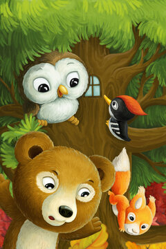 cartoon animals owl woodpeckers bear and squirrels © honeyflavour