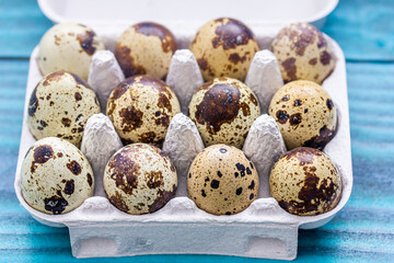 Fototapeta premium Wachteleier in einer Eierpackung vor einem blauen Hintergrund aus Holz