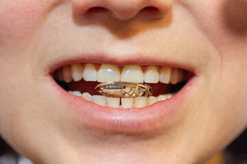 Obraz premium eine Person isst Heimchen (Grillen) vor weißem Hintergrund 