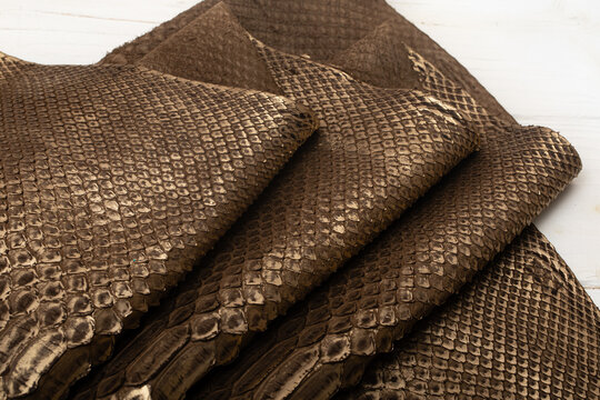 Brown dyed folded natural genuine python leather on the wooden table
