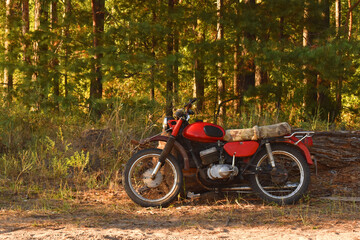 bike in the forest