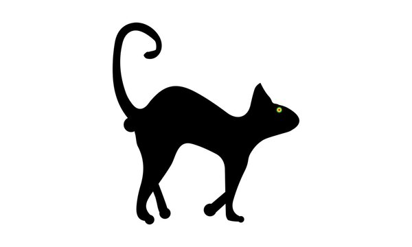 Black cat isolated. Halloween vector illustration