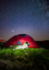 camping with dog red tent under the stars