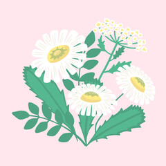 Isolated flowers bouqet. Vector flowers composition on a pink background. Chamomiles decor composition.