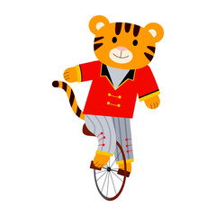 Cartoon vector illustration for children, tiger on a bicycle in a circus, Chinese new year.