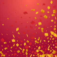 Ocher Leaf Vector Red Background. Canadian Leaves