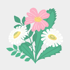 Isolated flowers bouqet. Vector flowers composition on a gray background. Chamomiles decor composition. Pink summer flower.