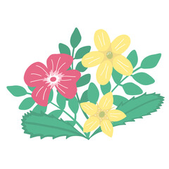 Colorful composition isolated of vector flowers. Pink and yellow flowers composition. Vector composition of leaves and flowers for postcards or greeting cards.