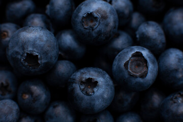 large ripe juicy blueberries macro