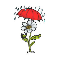 Cartoon flower with umbrella color sketch engraving vector illustration. T-shirt apparel print design. Scratch board imitation. Black and white hand drawn image.