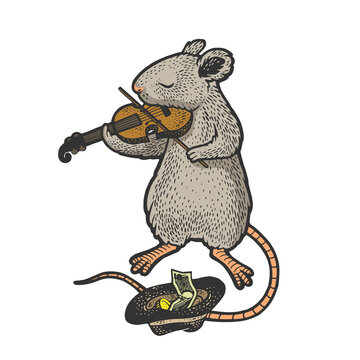 mouse plays the violin color sketch engraving vector illustration. T-shirt apparel print design. Scratch board imitation. Black and white hand drawn image.