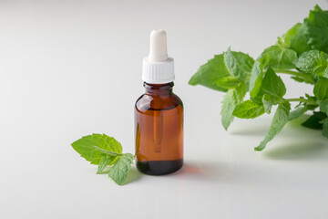 Mint essential oil. Mint leaves, oil in a small glass bottle. White background