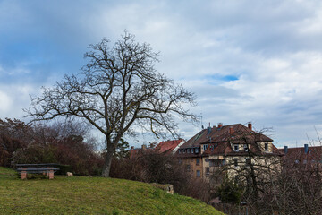 Naklejka na ściany i meble ドイツ　　シュトゥットガルトのライプフリートシャー・ガルテンの丘から望む風景