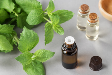 Mint essential oil. Mint leaves, oil in small glass bottles. Gray background