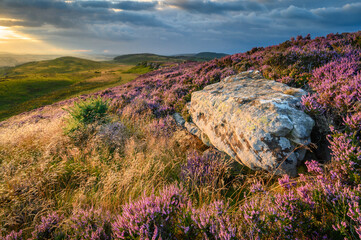 Golden Grass and Heather on Bowden Doors. Raven's Crag and Bowden Doors are two crag rock...