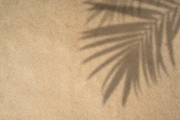 Fotobehang Summer beach day scene with tropical palm leaves shadow on sand background. Minimal sunlight tropical flat lay arrangement.  © eakarat