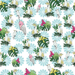 Vector white background tropical birds, parrots, exotic cheese plant, monstera, hibiscus flowers. Seamless pattern background