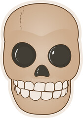 Vector drawing of a skull in a cartoon style.