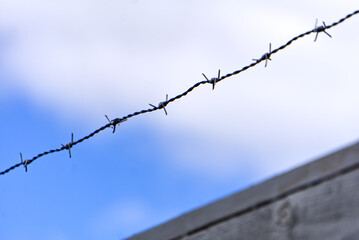 barbed wire fence