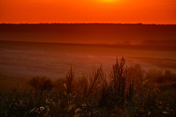 Red sunset over the field