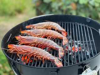 Gambas