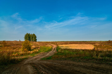 country road in the autumn evening