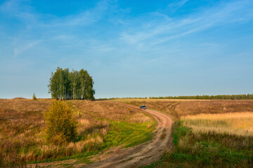 Fototapeta na wymiar country road with a car in the autumn evening