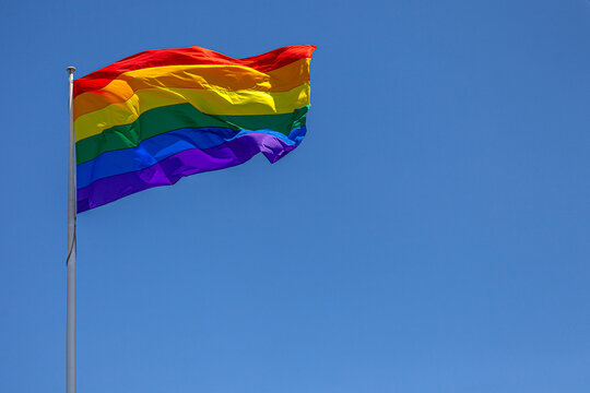 Rainbow flag in the wind 02