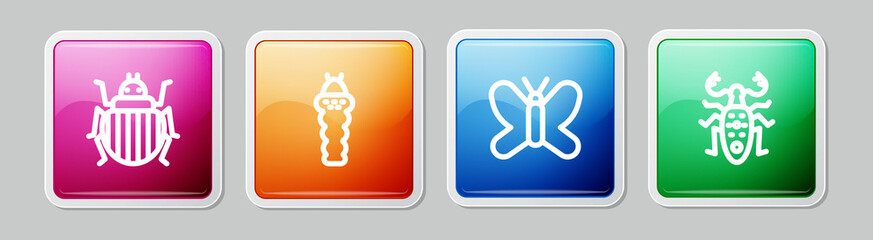 Set line Colorado beetle, Larva insect, Butterfly and Beetle deer. Colorful square button. Vector