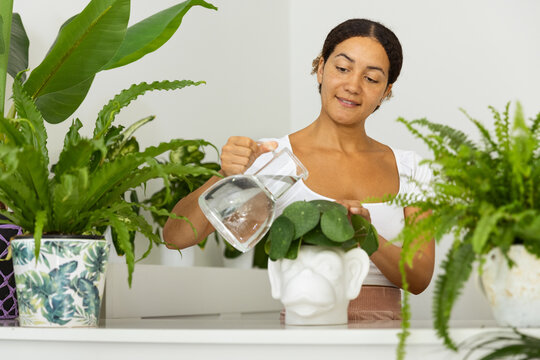 Ethnic woman watering Pilea in ceramic pot at home