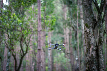selective focus drone flying in the forest dense trees There is space for text. The wild idea is perfect for small drones.