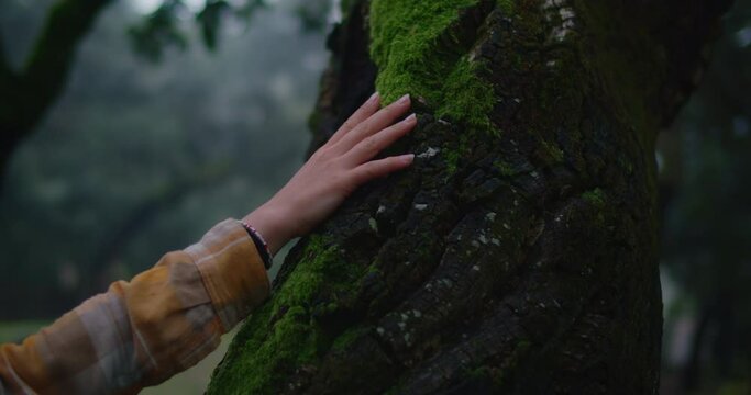 Cinematic atmospheric dark shot of female hand touch softly old tree bark. Connection with nature and environmental protection. Green conscious lifestyle of new generation protecting rain forest