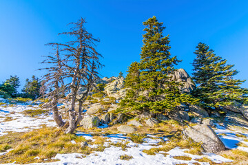 Uludag National Park view İn Turkey