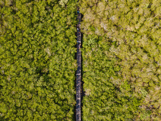 Passarela Ecológica do Gigica sobre o manguezal e ao final praia fluvial e de mar aberto. Cidade de Mucuri, no sul da Bahia na região nordeste do Brasil.