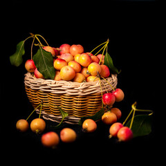 basket with fruits